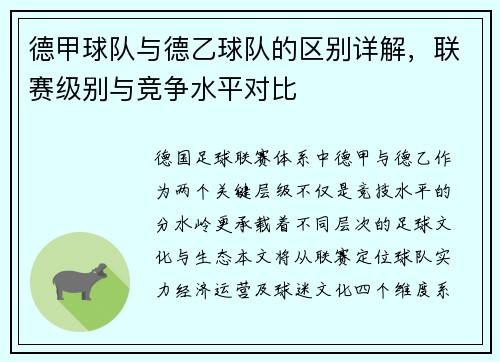德甲球队与德乙球队的区别详解，联赛级别与竞争水平对比